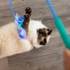 Catstages 17.5" Tail Teaser Air Prey Play Cat Wand Toy with Catnip Attachments - 3 of 4