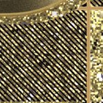 central florida golden knights