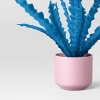 Multicolor Succulent Multipack Plant - Room Essentials™ - 3 of 4