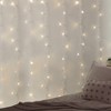 5' X 3.5' Led Vine Curtain String Lights Warm White - West & Arrow : Target