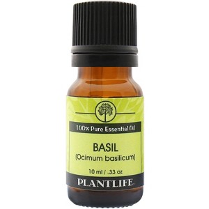 Plantlife Basil Essential Oil – 100% Pure & Therapeutic Grade – Natural, Undiluted & Steam-Distilled – No Additives or Fillers – Aromatherapy – 10ml - 1 of 2