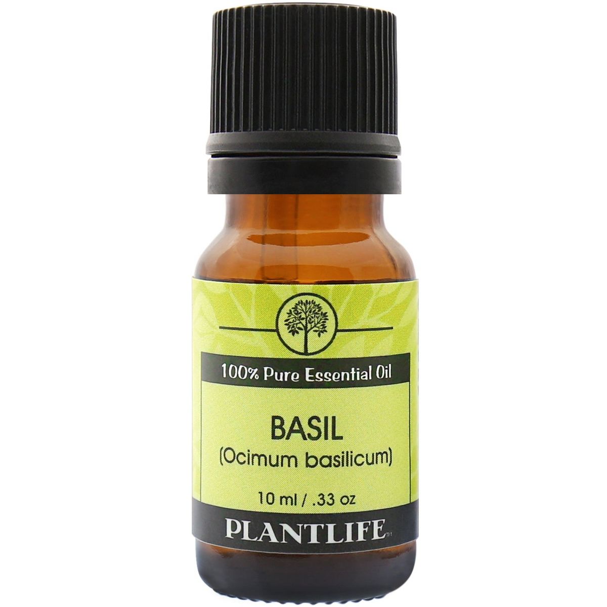 Plantlife Basil Essential Oil – 100% Pure & Therapeutic Grade – Natural, Undiluted & Steam-Distilled – No Additives or Fillers – Aromatherapy – 10ml