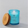 Frosted Glass Nourish + Renew Lidded Jar Candle Light Blue - Mind & Body by Chesapeake Bay Candle - 2 of 4