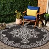 Beach House BHS292 UV & Stain Resistant Non-Shedding Power Loomed Indoor/Outdoor Rugs - Safavieh - 2 of 4