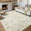 Nasitip Bohemian Flowers Stripes Area Rug Non-Slip Washable for Living Room，Bedroom，Entryway - 2 of 4
