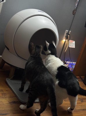 Guest review image 5 of 5, zoom in