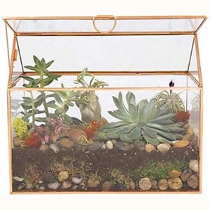 D'Eco Glass House Plant Terrarium (10"x6"x8") - Indoor Tabletop Gold Planter Terrarium - Home & Office Holiday Decor - Christmas Gift for Plant Lovers - 1 of 3