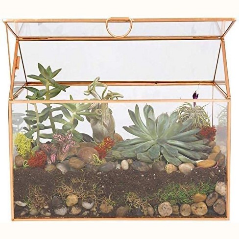 Home Shape Terrarium, selling Glass Plant Centerpiece, Home Nature Decor, Jewelry Storage Box, Housewarming Gift HM17