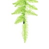 Vickerman 36" Lime Fir Fir Artificial Christmas Teardrop, Unlit - 4 of 4
