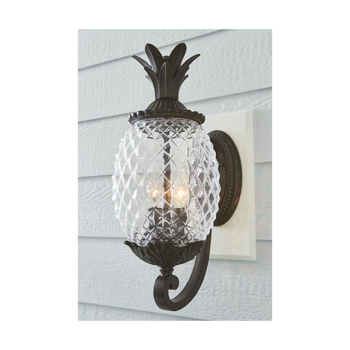 Acclaim Lighting Lanai 2 - Light Wall Light in Black Coral - thumbnail 6