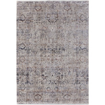 Caprio Transitional Distressed Taupe/Ivory/Gray Area Rug