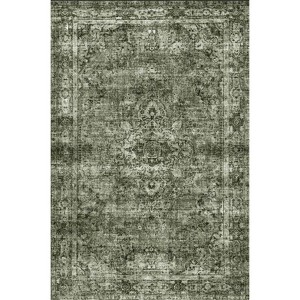 Coolmee Washable Area Rugs Boho Bedroom Rug Non Slip Distressed Carpet for Bathroom Kitchen Living Dining Room Farmhouse - 1 of 1