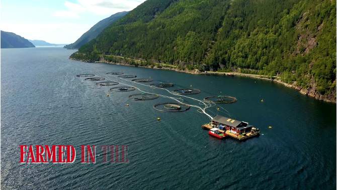 Encore Seafoods Wild Alaskan Salmon Pinwheel With Florette Stuffing - 12oz, 5 of 6, play video