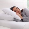Candice Olson Down Alternative Pillow (2pk) - Medium - image 3 of 4