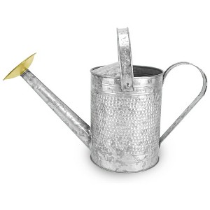 Jameson 1 Gallon Galvanized Watering Can with Handle, Sprinkler Mouth, and Long Elevated Spout for Patio, Lawn, and Garden Use, Gray - 1 of 4