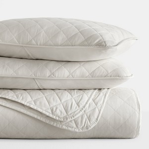 FIONECA Reversible All Season Quilt Set Double Brushed Microfiber Neutral Tone - 1 of 4