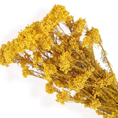 Alilang Decorative Dried Berry Stems for Home Decoration and Floral Arrangements, 17 Inches