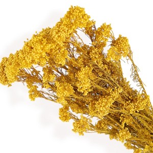 Alilang Decorative Dried Berry Stems for Home Decoration and Floral Arrangements, 17 Inches - 1 of 3