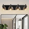 DAKAFUL Bathroom Vanity Light, with Clear Glass Globe Shade, Reversible Mounting E26 Base Wall Lights for Bathroom/Mirror/Bedroom/Hallway(4-Light) - 2 of 4