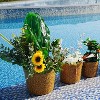 KTMBDW Plant Pots, Ceramic Planters with Drainage Holes, Flower Pots,Nursery Planting Pot for Indoor Out Door Plants - 3 of 4