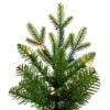 Vickerman Wistler Spruce Artificial Christmas Tree - 4 of 4
