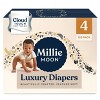 Millie Moon 2 Pack/120 Count Each/Size 4 Luxury Disposable Diapers + 648 Count Sensitive Baby Wipes - 2 of 4