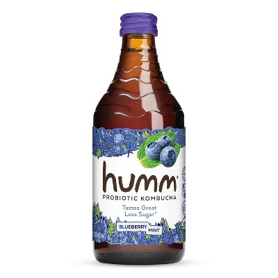 Humm Blueberry Mint Kombucha 14oz