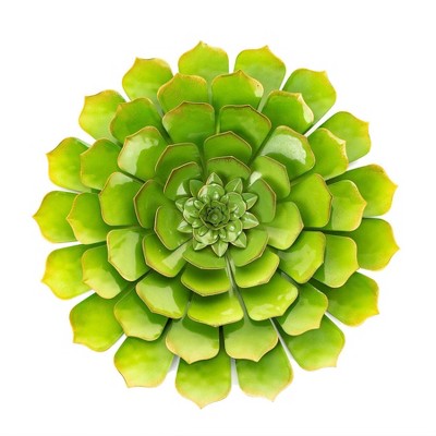 Metal Wall Succulent Green - Ultimate Innovations