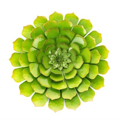 15.25" Metal Wall Succulent Green - Ultimate Innovations