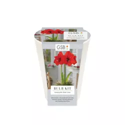 Ceramic Palmela Planter with Red Amaryllis Grow Kit Cream - Garden State Bulb