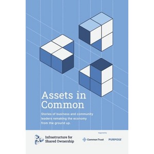 Assets in Common - by  Infrastructure For Shared Ownership & Charity May & Jay Standish & Chelsea Robinson & Zoe Schlag & Derek Razo (Paperback) - 1 of 1