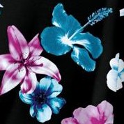 black bold hibiscus