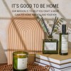 Craft & Kin Reed Diffuser Set With Flower For Home - 3 of 4