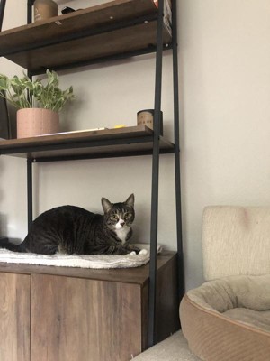 Guest review image 1 of 4, zoom in