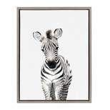 18" x 24" Sylvie Baby Zebra Framed Canvas by Amy Peterson Gray - Kate and Laurel