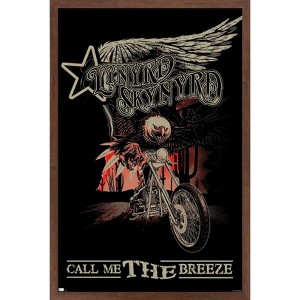 Trends International Lynyrd Skynyrd - The Breeze Framed Wall Poster Prints - 1 of 4