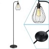 Fine Art Lighting Wire Cage Floor Lamp, Black - 3 of 4