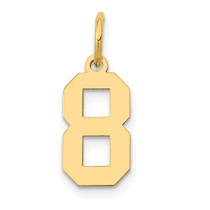 Black Bow Jewelry 14k Yellow Gold, Athletic Collection, Small Polished Number 8 Pendant - 1 of 4