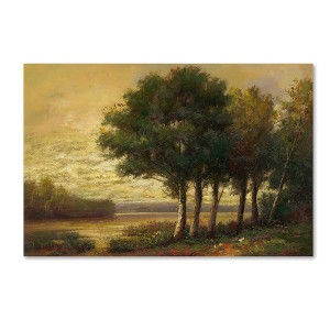 16" x 24" Tranquility by Daniel Moises - Trademark Fine Art: Contemporary Canvas, Unframed Horizontal Artwork - 1 of 4