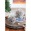 Gulches Series Silver Shatterproof Natural Iced Leaf Twig Ball Christmas Ornament - 4 of 4