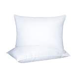 Hypoallergenic Microfiber Polyester 2-Piece Pillow Set - Blue Nile Mills