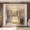Aheaplus Closet System with 2 Wooden Drawers and Adjustable Shoes Rack - 3 of 4