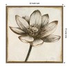 Amanti Art Sepia Lotus Blossom II by Patricia Pinto Canvas Wall Art Print Framed 22 x 22-in. - 4 of 4