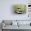 Trademark Fine Art -Geno Peoples 'Speckled Trout' Canvas Art - 2 of 4