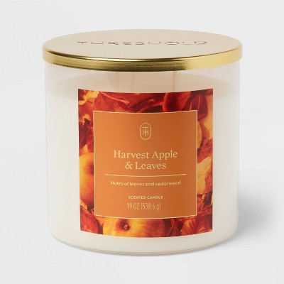 3 Wick Lidded Harvest Apple and Leaves Jar Candle 19oz - Threshold™