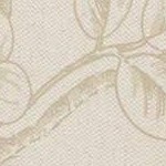 Toile Floral Stucc