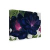 Trademark Fine Art - Georgia O'Keefe Black and Purple Petunias Matted Framed Art - 2 of 4