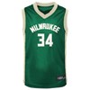 NBA Milwaukee Bucks Toddler Boys' Giannis Antetokounmpo Jersey - 2 of 3