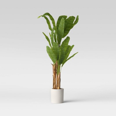 72" Banana Tree in Cement Pot  - Threshold™