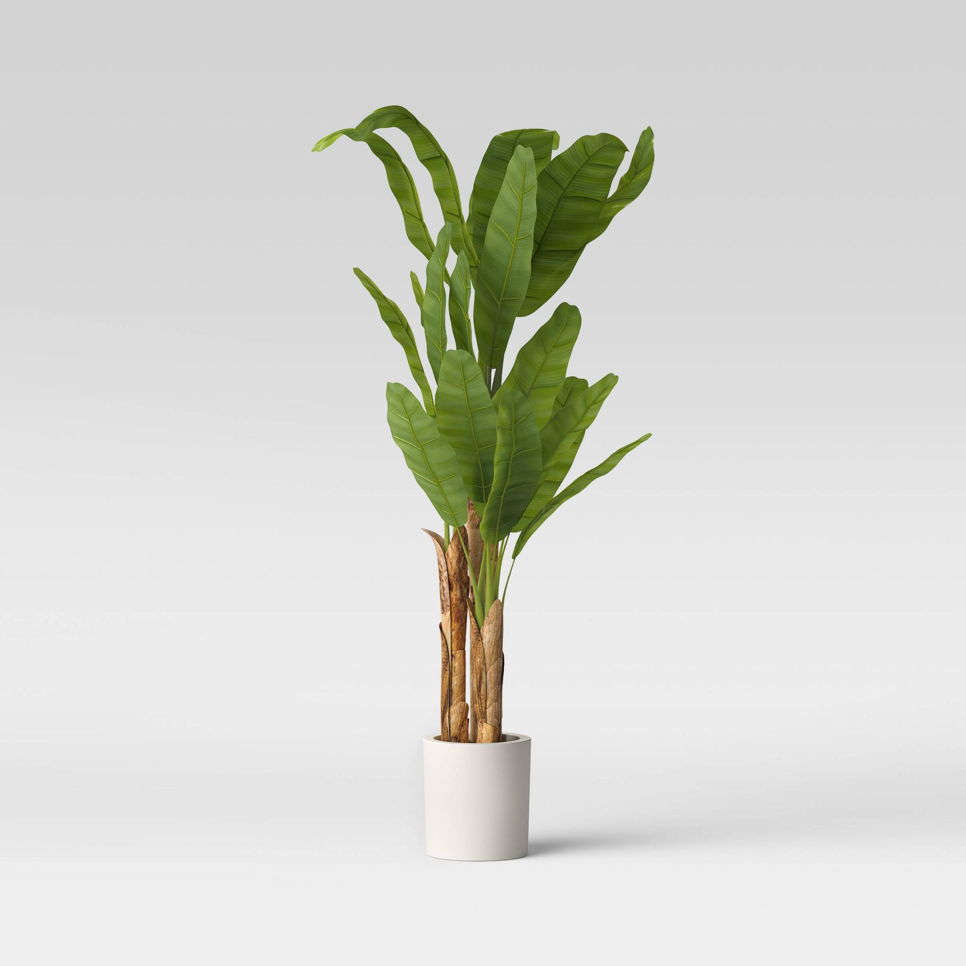 72" Artificial Banana Tree in Cement Pot - Threshold™